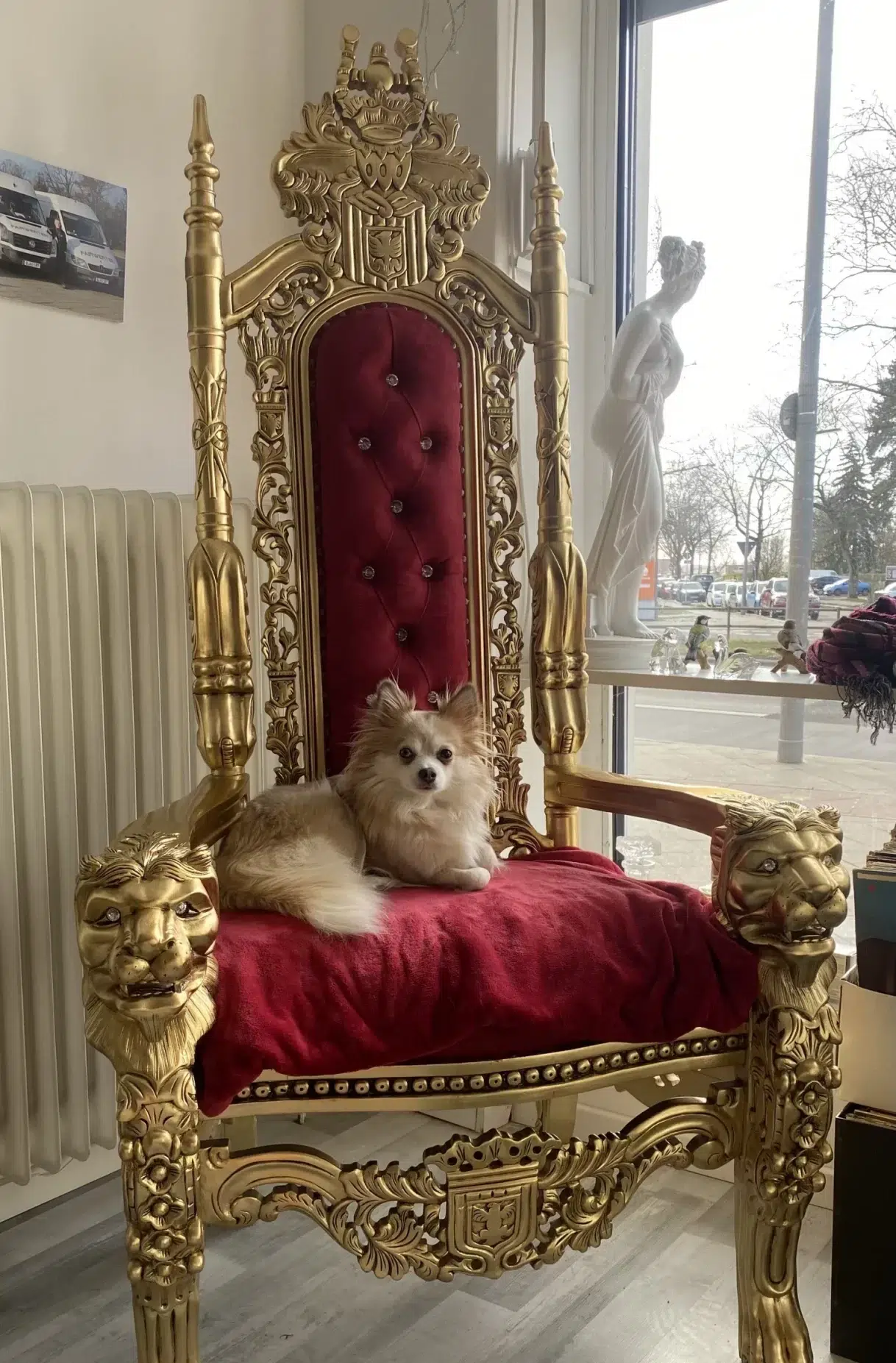 Coco - Die FAIRwerter FAIRwerter Bürohund Coco