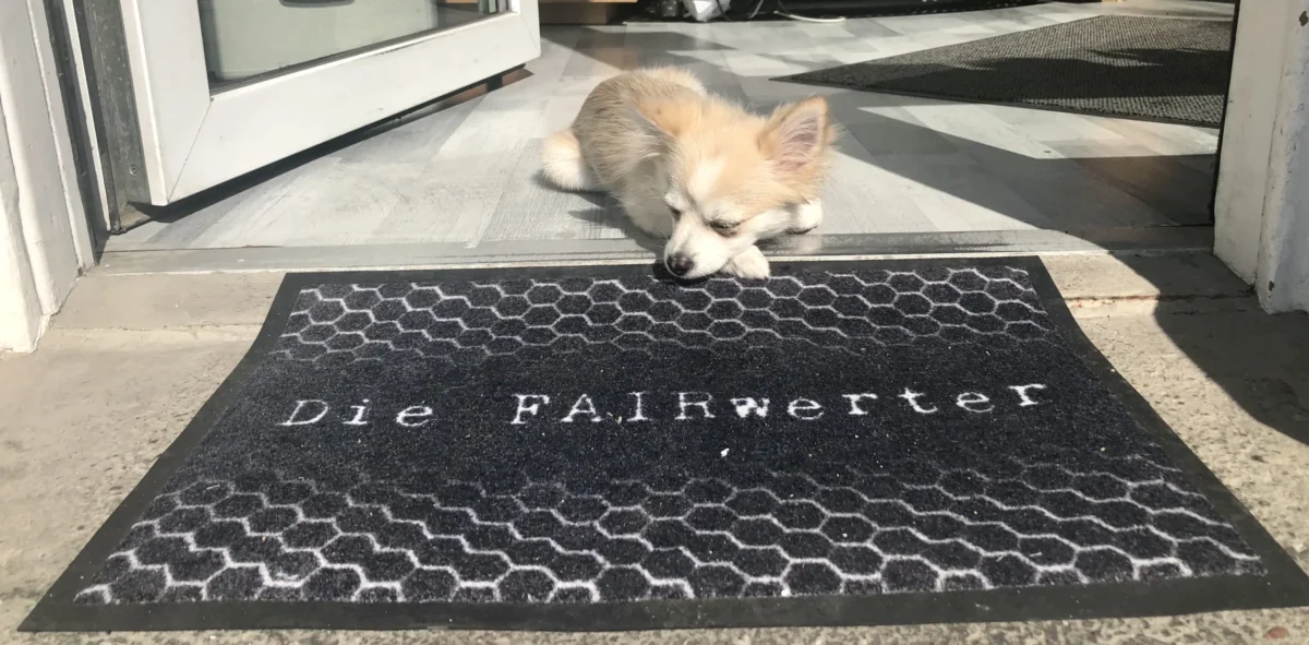 FAIRwerter_Kontakt Bürohund Coco