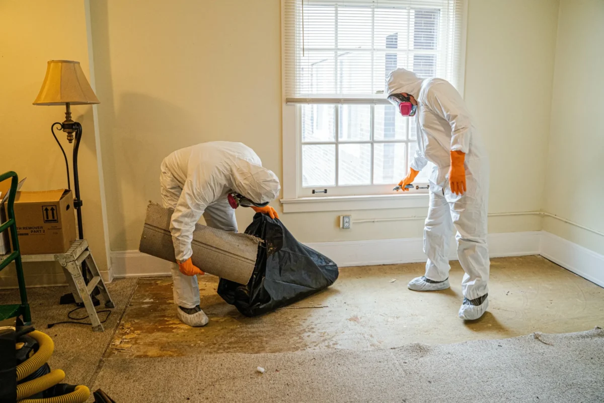 Professionelle Tatortreinigung in einer Wohnung in Berlin