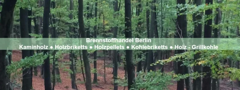 Partnerlogo Brennstoffhandel Berlin